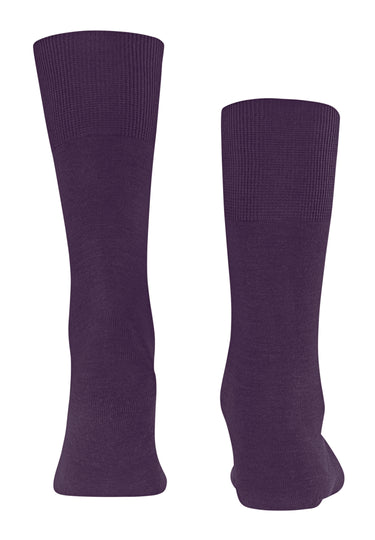 Airport Airport Sock | Wine Berry 14435-8860